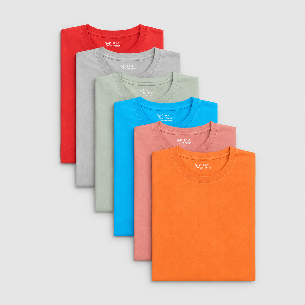 Tall Summer Rotation 6-Pack
