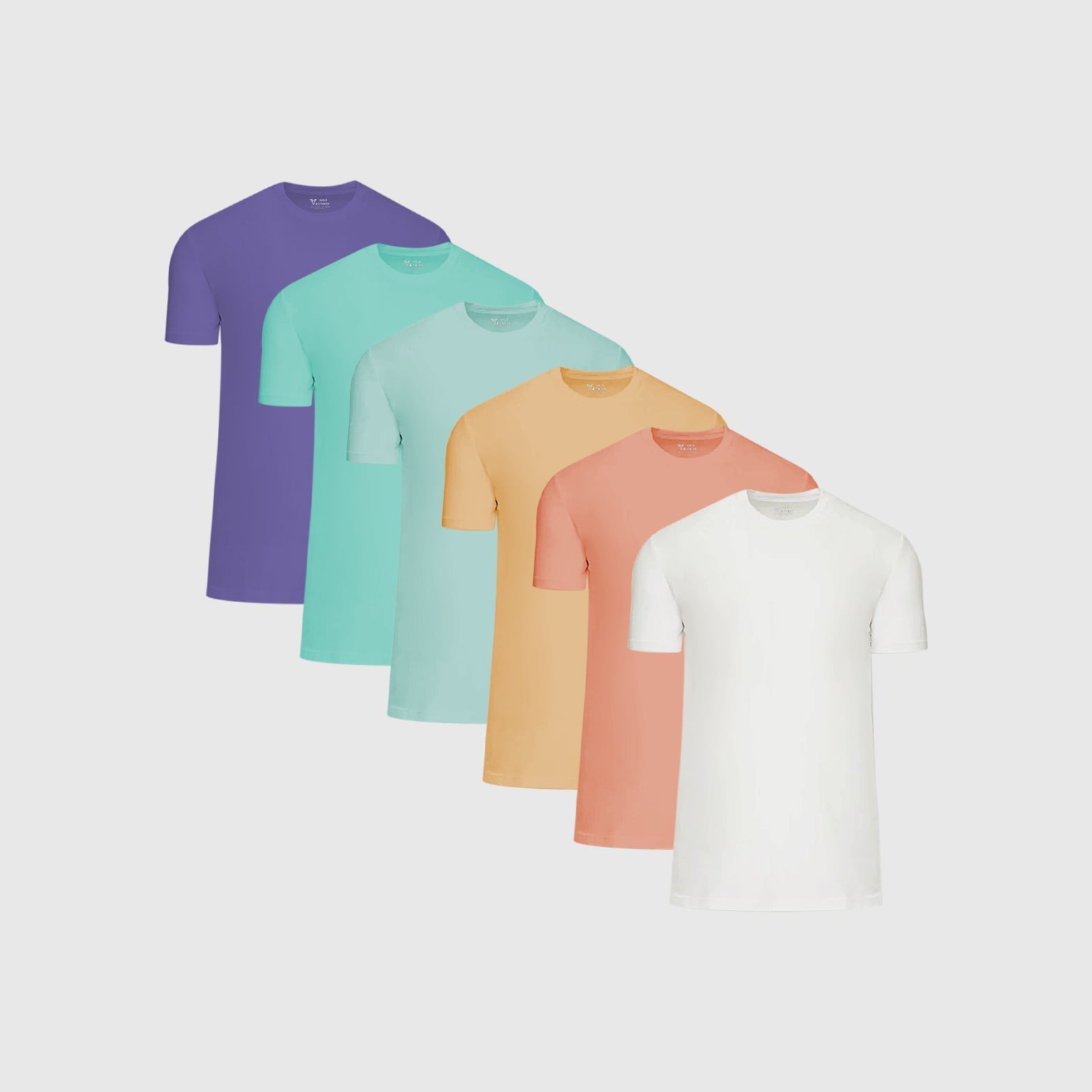 Tall Summer 6-Pack